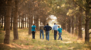 Photo of group of people walking in a forest