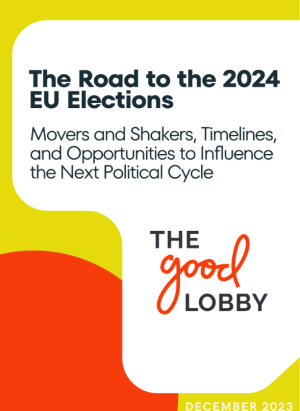 The road to the 2024 EU Elections